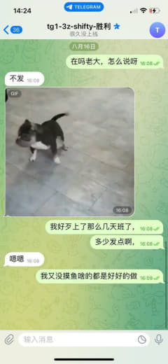 华庭中心19楼三亿体育七八天工资都发不起，真是恶心，叫我去的时候说的很...